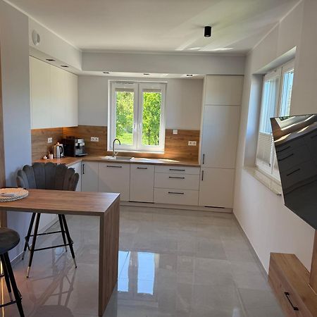Apartament Nad Barycza Milicz Dış mekan fotoğraf
